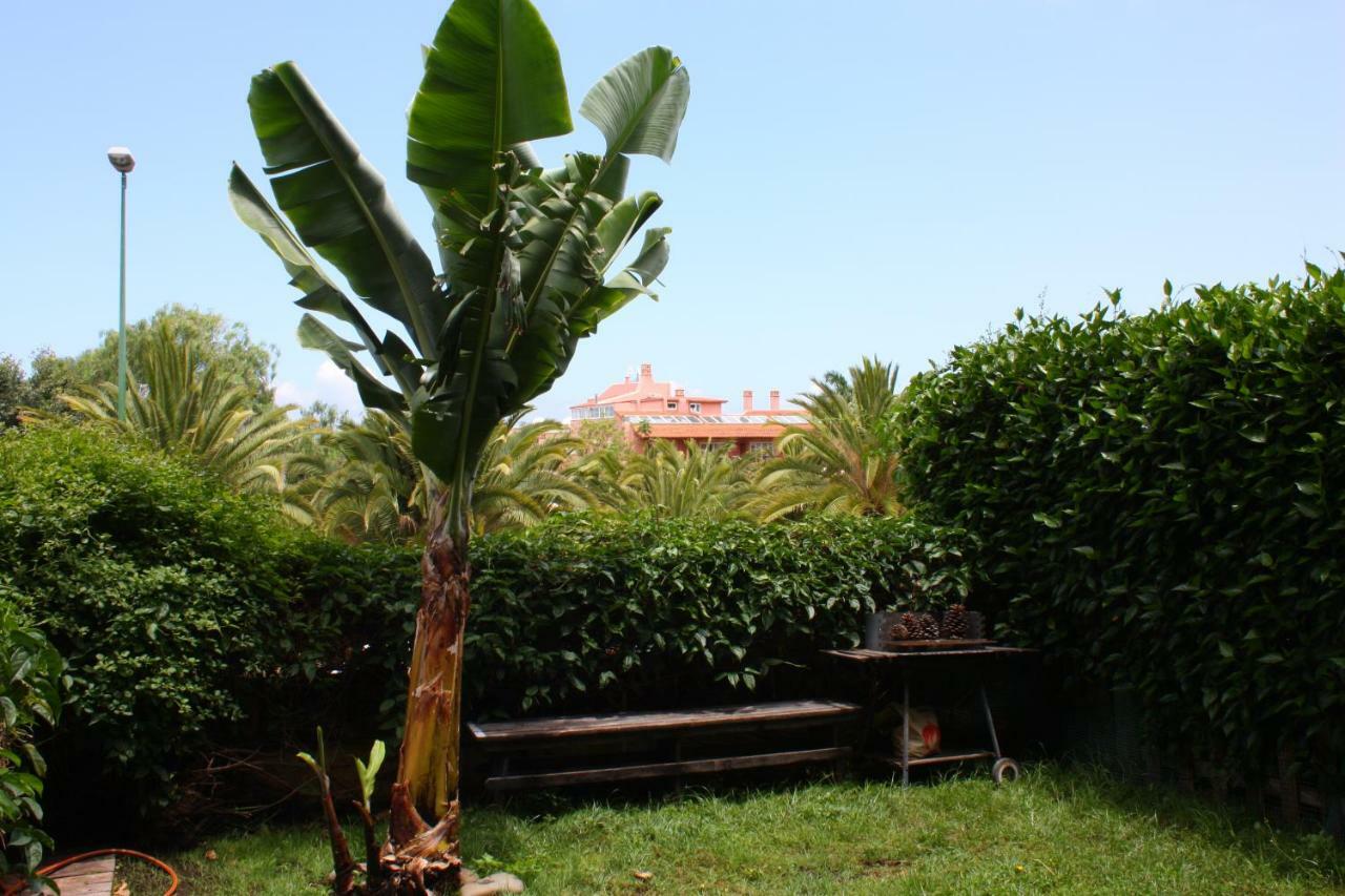 פוארטו דה לה קרוז Apartamentos Con Jardin Y Pescina מראה חיצוני תמונה